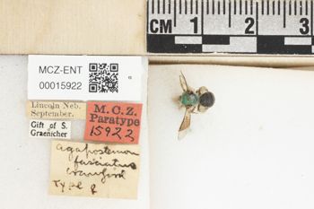 Media type: image;   Entomology 15922 Aspect: Labels